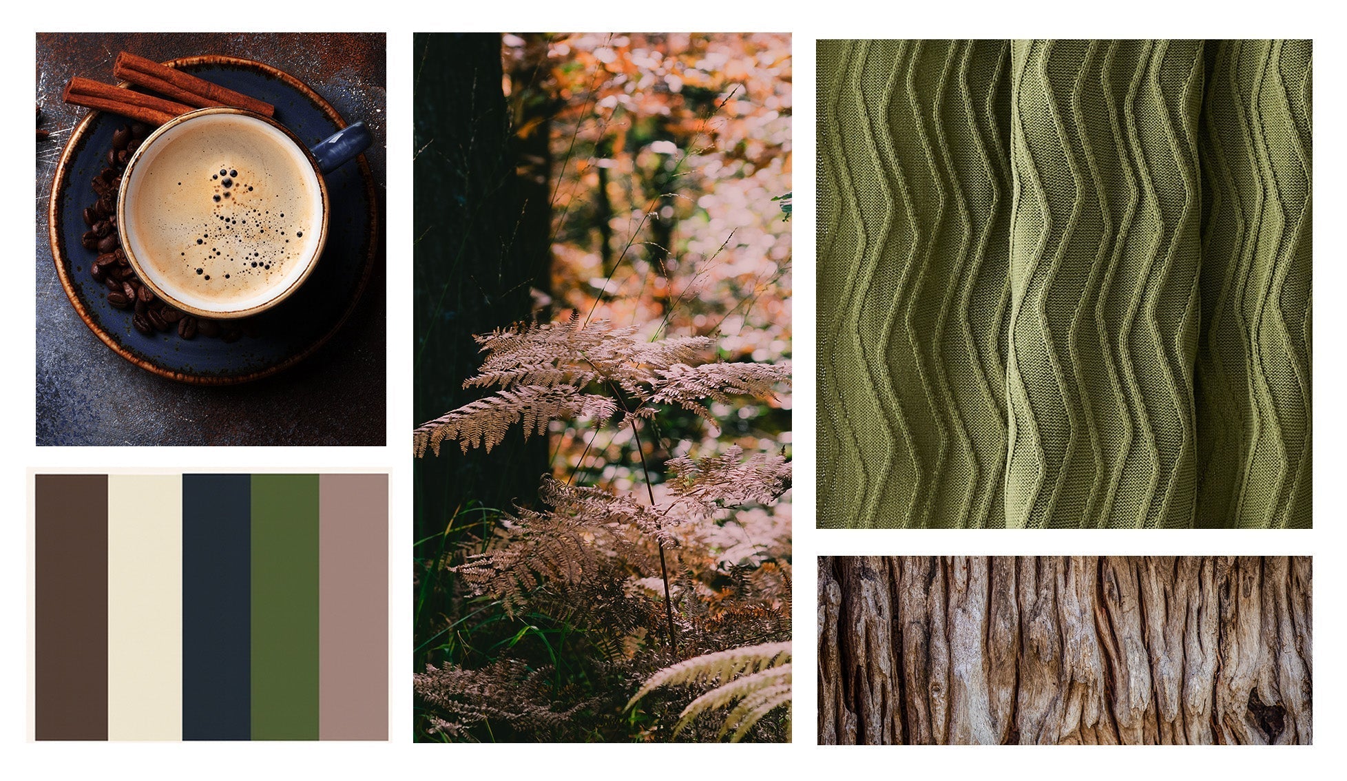 Reimagining Fall. A Fresh Take on Color
